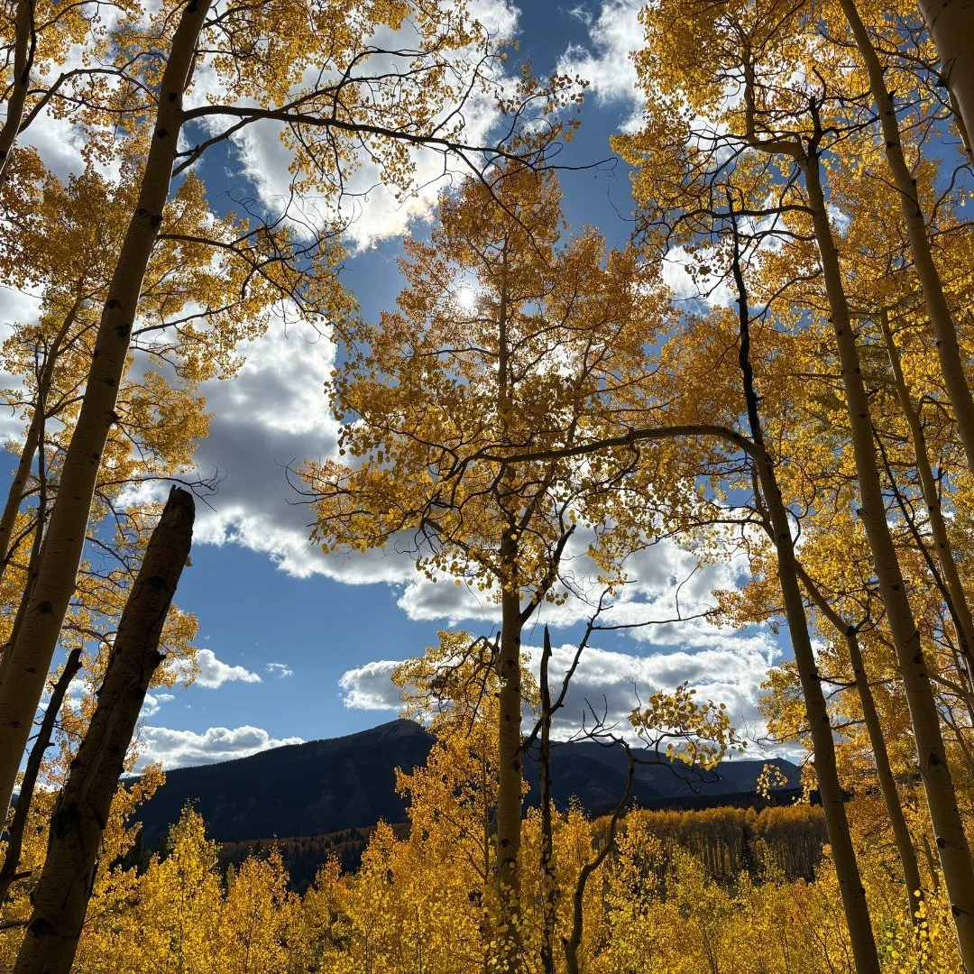 🍂 Fall is hanging on in Crested Butte &mdash; the sunny bluebird days have turned into rain, sleet and maybe snow this weekend but the fall colors are still putting on a show!  School break is here and town will be quieting down - although restauran
