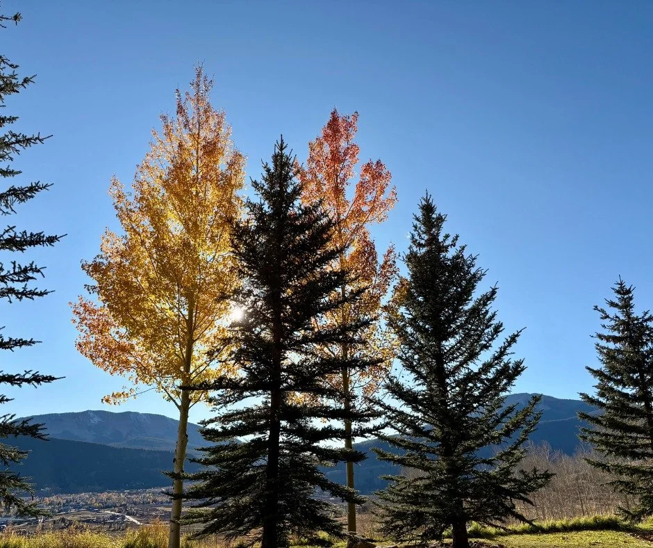 Mid-October is here, and while winter&rsquo;s creeping closer, we&rsquo;re soaking up every bit of sunshine and warmth while it lasts. Crested Butte is expecting sunshine and 50 degrees this weekend. The trails are still open and the golden leaves ar