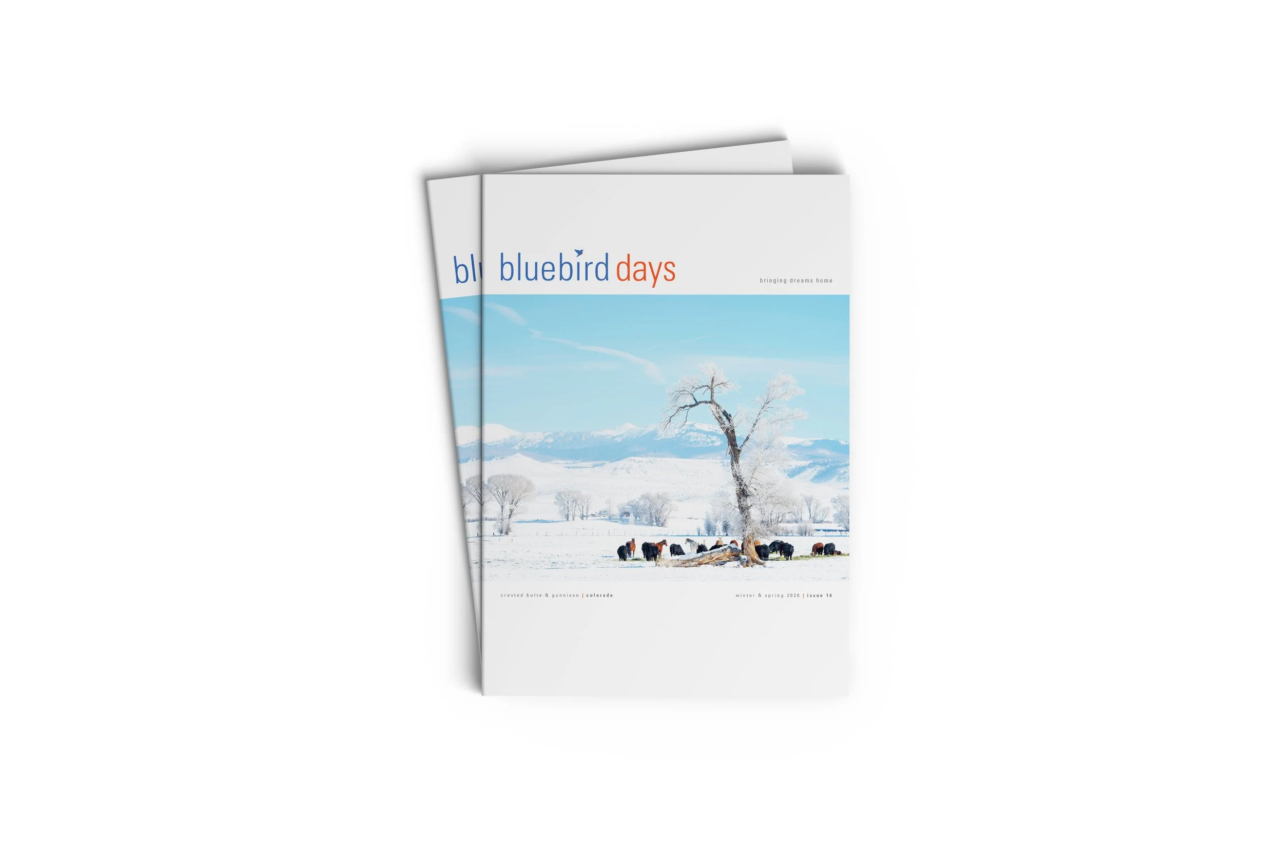 Bluebird Days | Winter 2025 / 2026