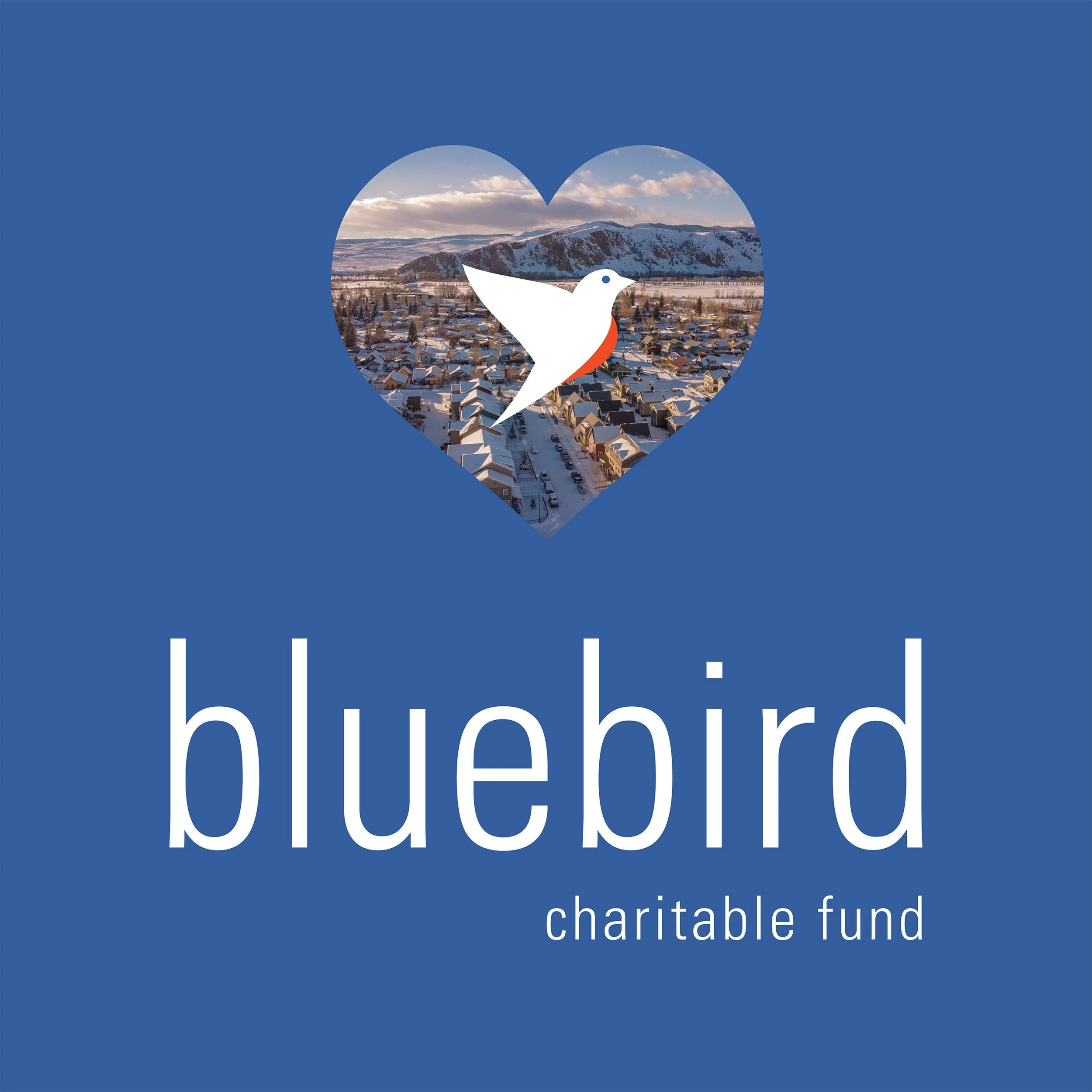 2024 Bluebird Charitable Fund