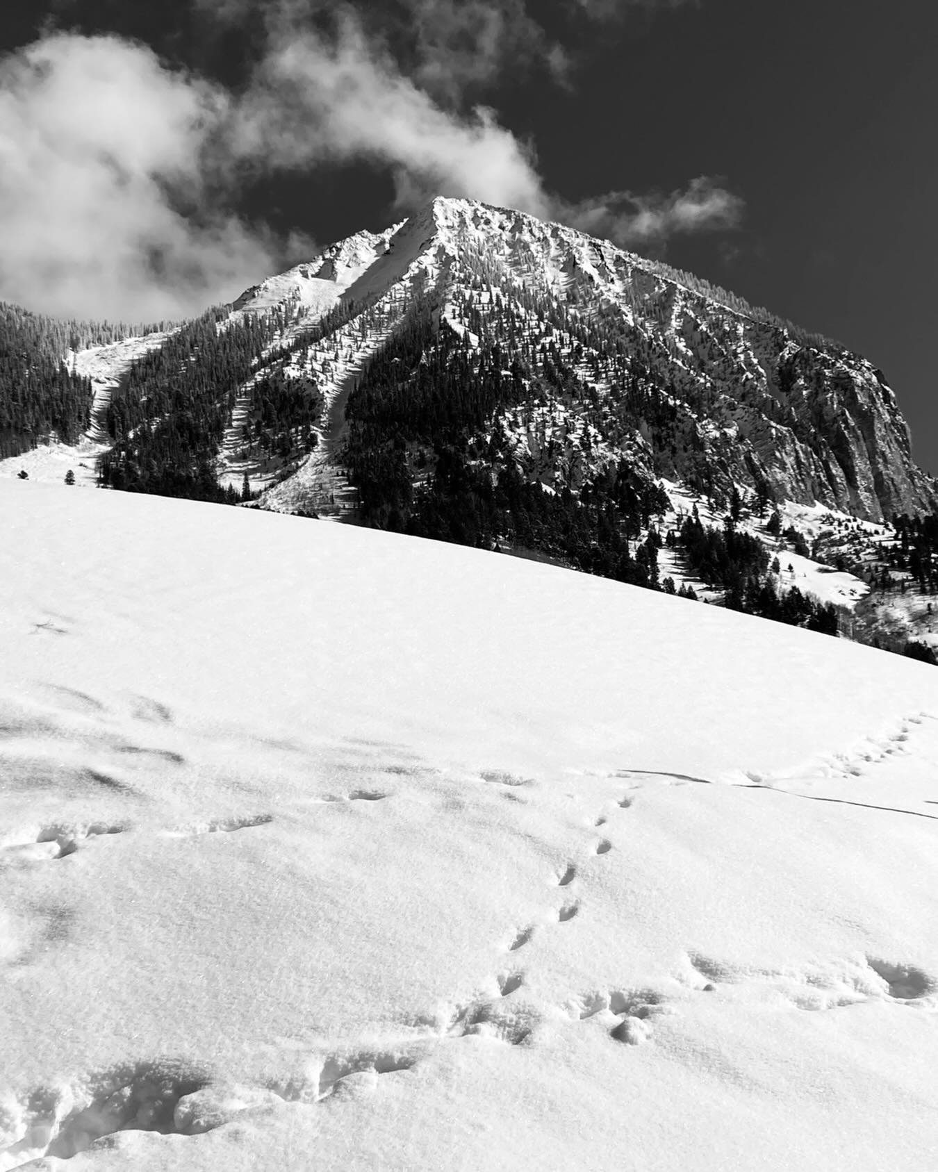 ❄️ Snow is in the forecast this weekend in Crested Butte which makes everyone very happy. After getting your turns in&mdash;or taking in the storm from inside&mdash;head to Butte 66 this Saturday for Ski Town Breakdown.

Presented by MTN DEW, Ski Tow