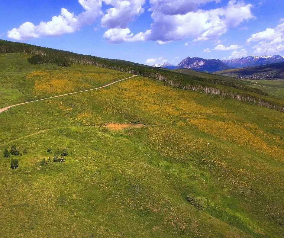 901 Red Mountain Road offers a rare opportunity to own more than 47 acres in the coveted Danni Ranch Subdivision, showcasing some of the area&rsquo;s most stunning panoramic views. From this remarkable homesite, take in sweeping vistas of Crested But