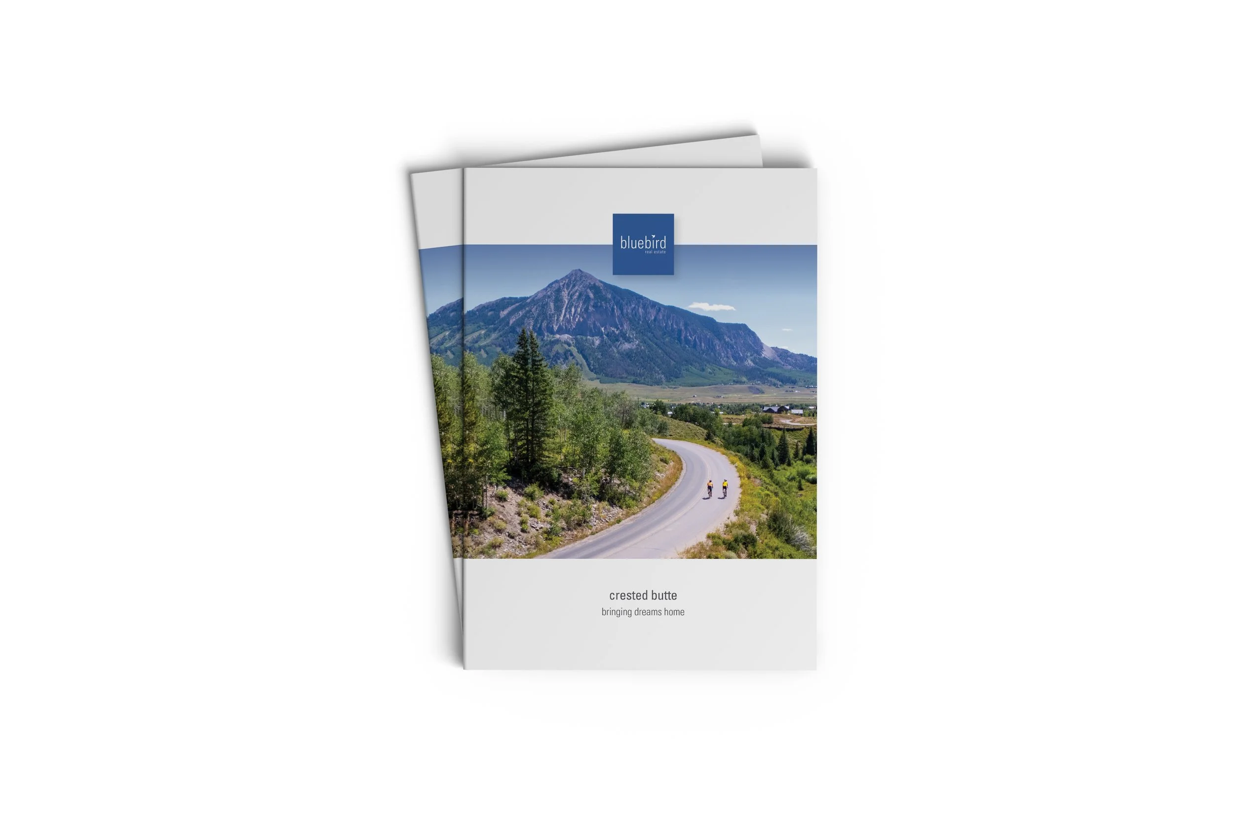 Birdseye View | Crested Butte Market Snapshot | Spring 2026