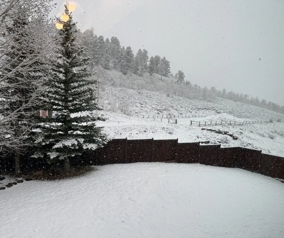 There&rsquo;s ❄ snow ❄ in the forecast for the weekend!  Hip, hip hooray&hellip;.my dreams of a 💦 wet and 🌨 snowy off season are paying off.  Keep it coming Mother Nature.  You know the saying, &ldquo;April showers bring May 🌺 flowers&rdquo; and d