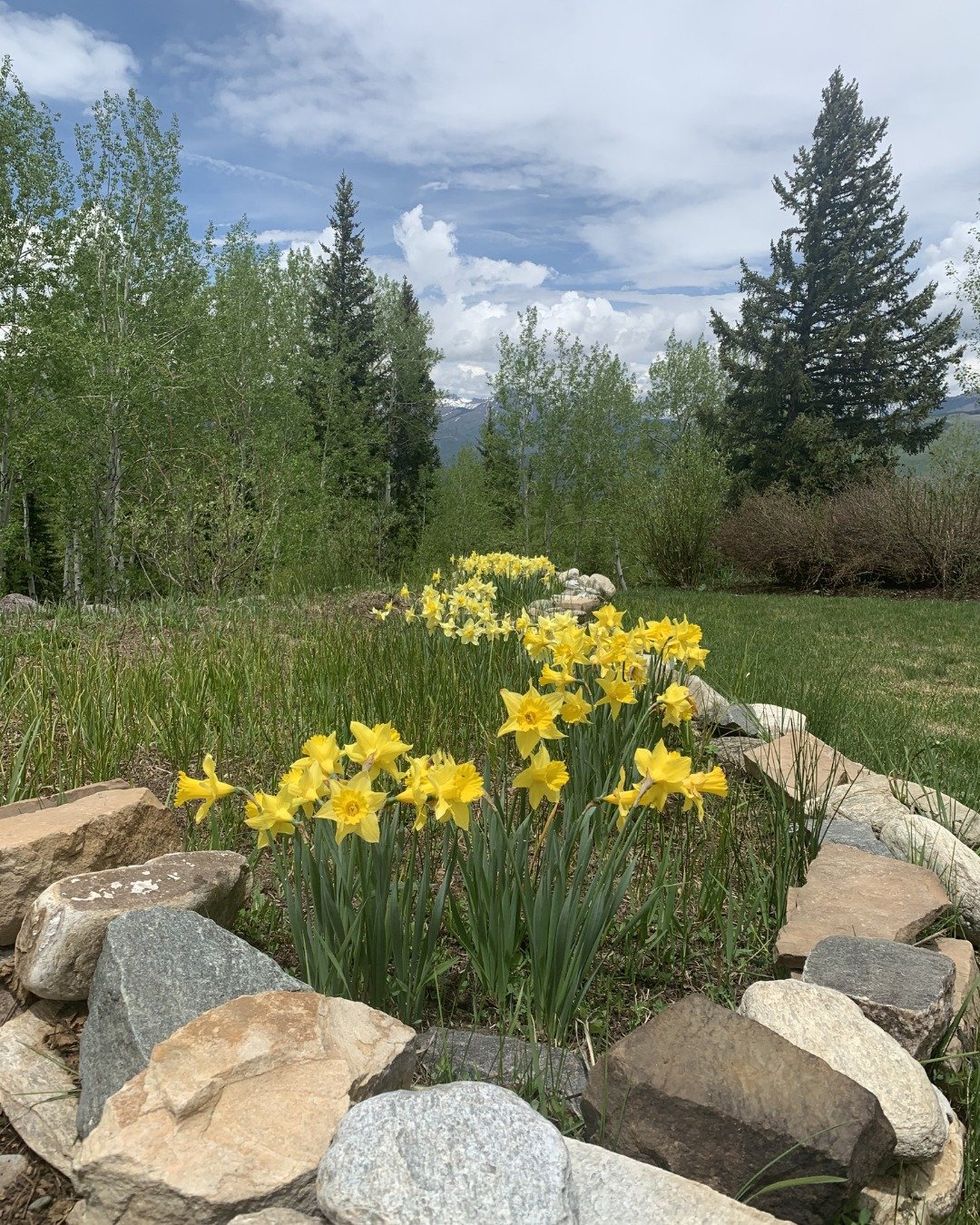 ✨ TGIF and Happy May Day!! As a little one I remember the May 1st as the day that welcomed summer ☀ There was the traditional May Pole dance and the delivering of baskets with 💐 flowers or treats to neighbors&hellip;bottom line it was a day filled w