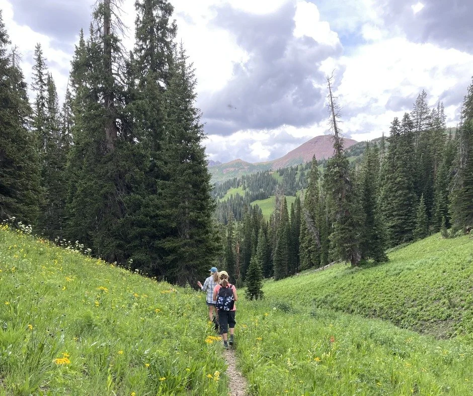 Happy Friday! ☀️ The temps warmed up this week and Summer is Here!! On my early morning hikes, the flowers are starting to pop:  lupine, mules ears, blue flax and the monument plants were gorgeous today. 🌿🌼🪻 Town is putting the spit and polish on 