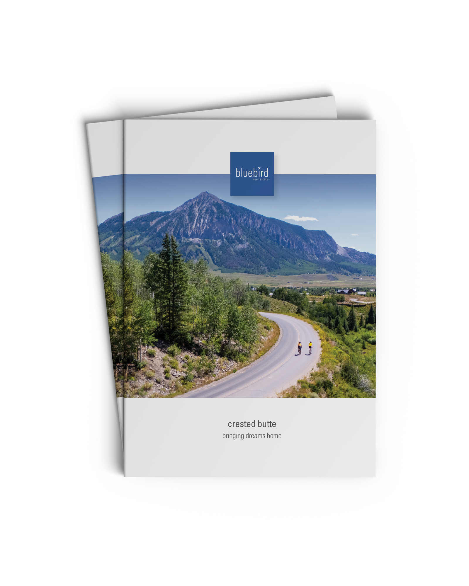 Birdseye View | Crested Butte Market Snapshot | Summer 2026
