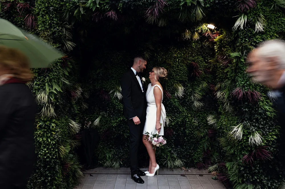 Charley photographed through the greenery on a wet Chelsea street