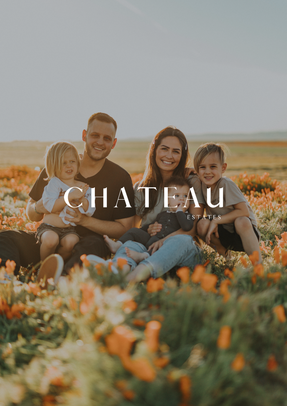 chateau-1.png