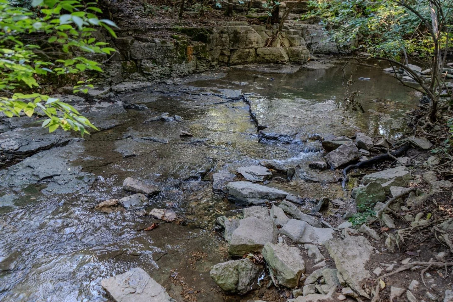 It's amazing how much natural beauty is hidden in the cities of the greater Columbus area.
- -
📷 - A7IV