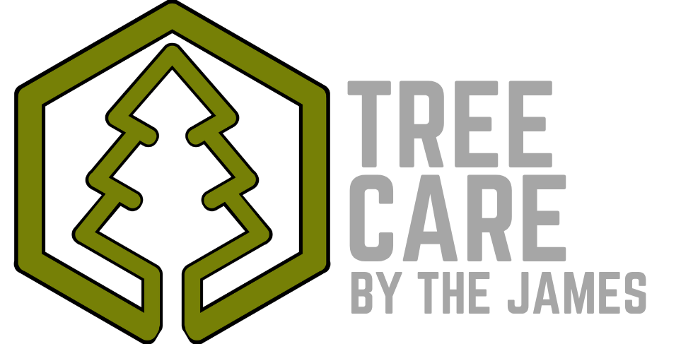 Tree Care By James