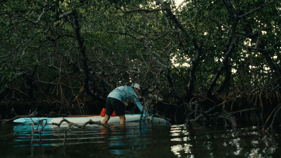 SAVE THE BAY - SHORT DOC