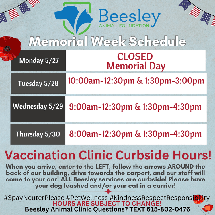 Our Staff — Beesley Animal Clinic