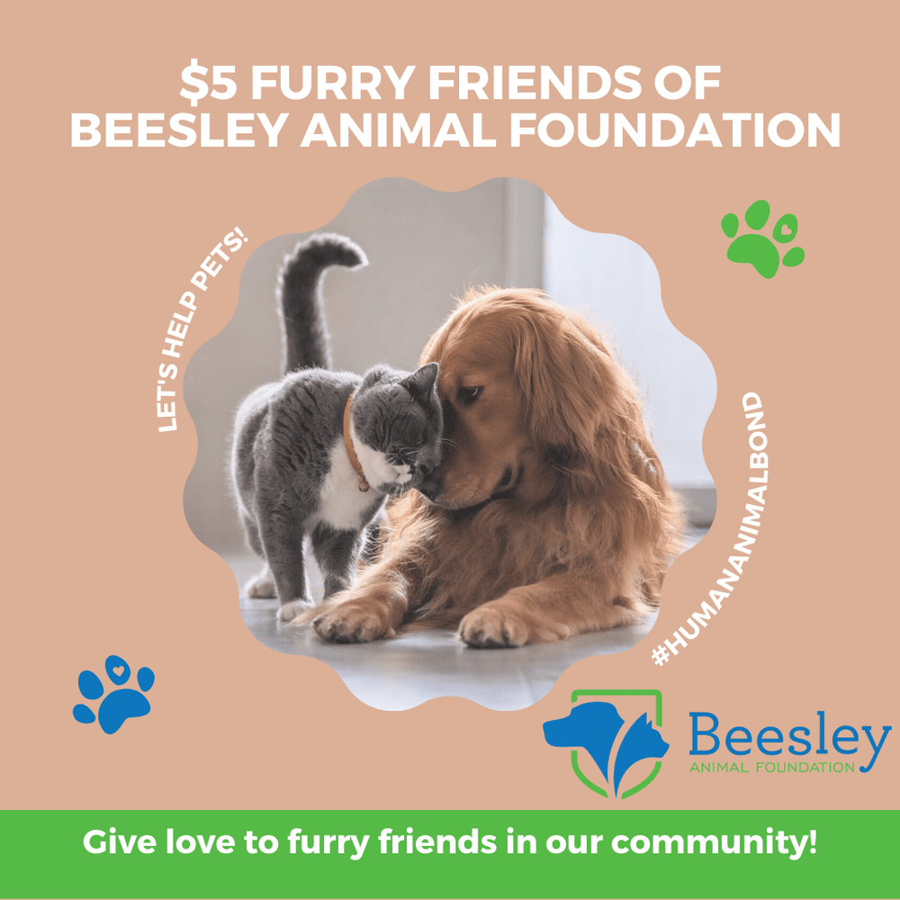 How to Help — Beesley Animal Clinic