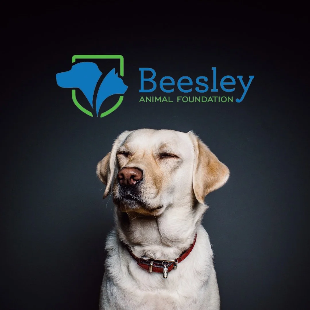 Beesley Animal Clinic