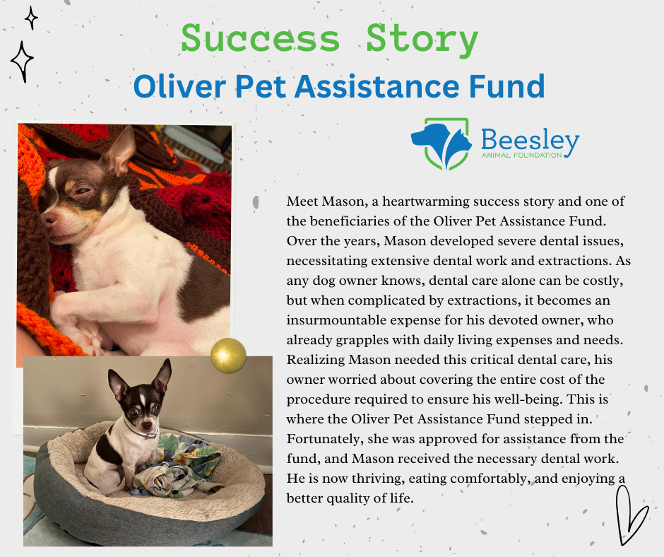 Oliver Pet Assistance Fund — Beesley Animal Clinic
