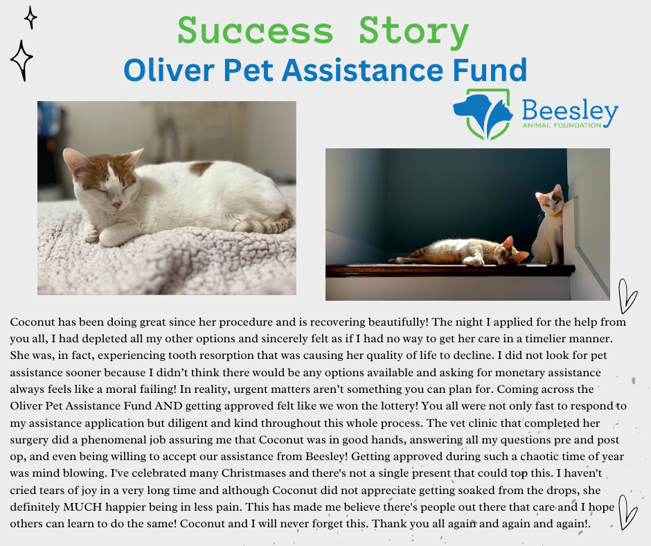 Copy of Copy of OPAW - Coconut (1).png