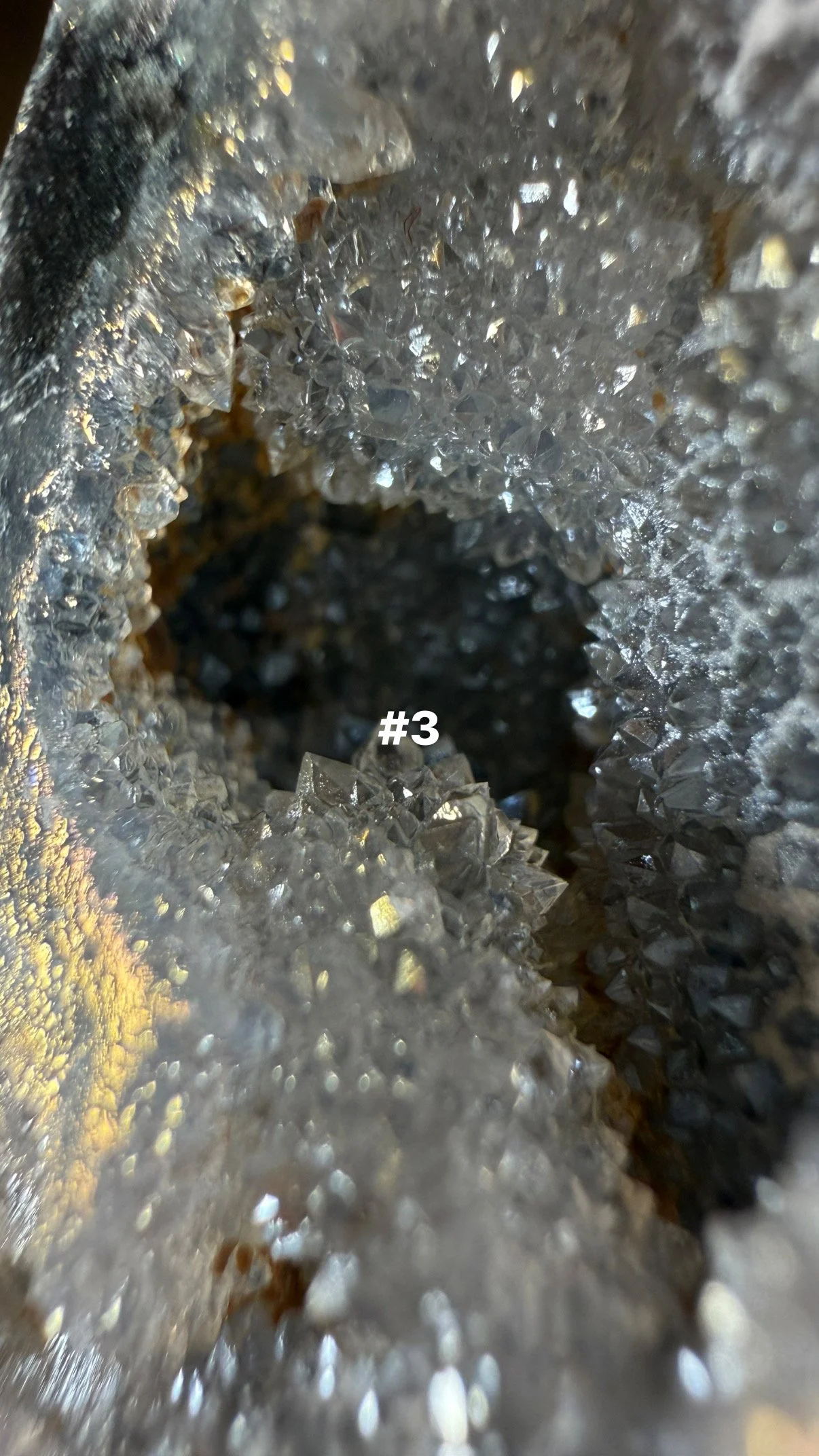 06036DCE-90FC-4219-A3C7-FE268E6AE16D.jpeg