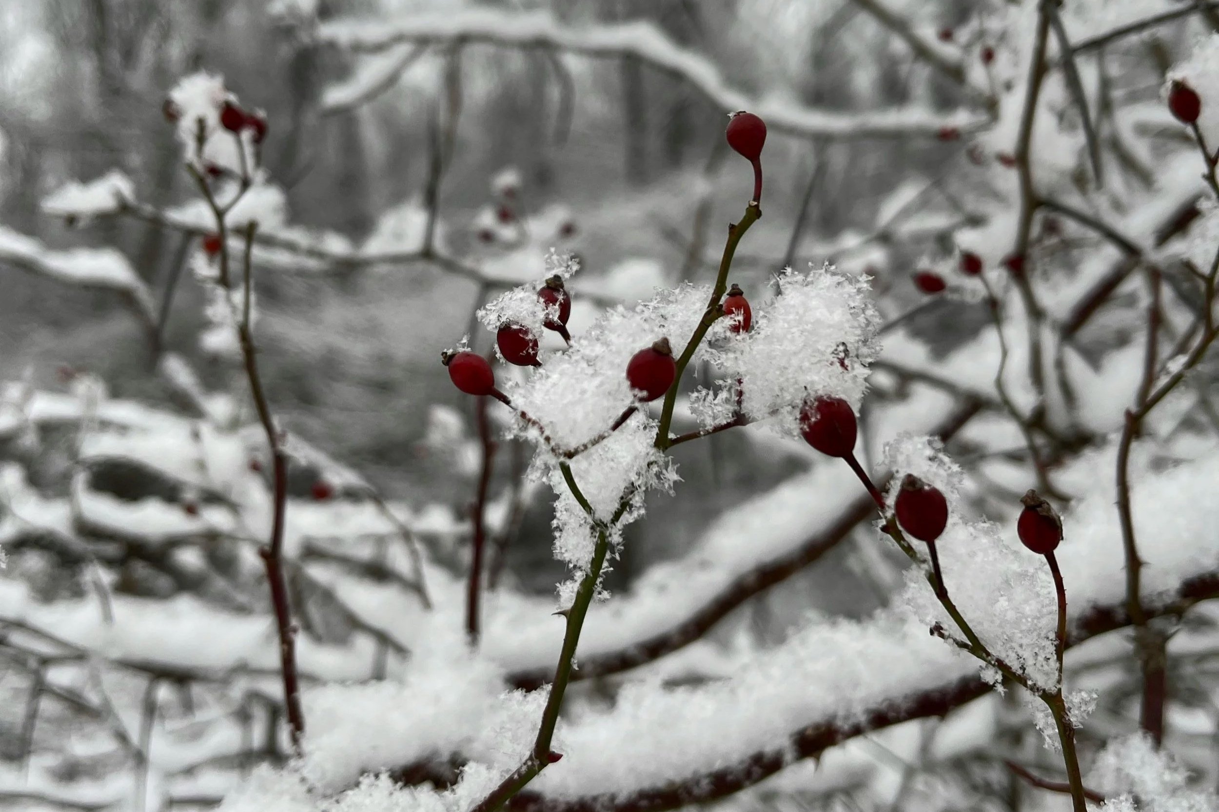 Disruptions and Interruptions