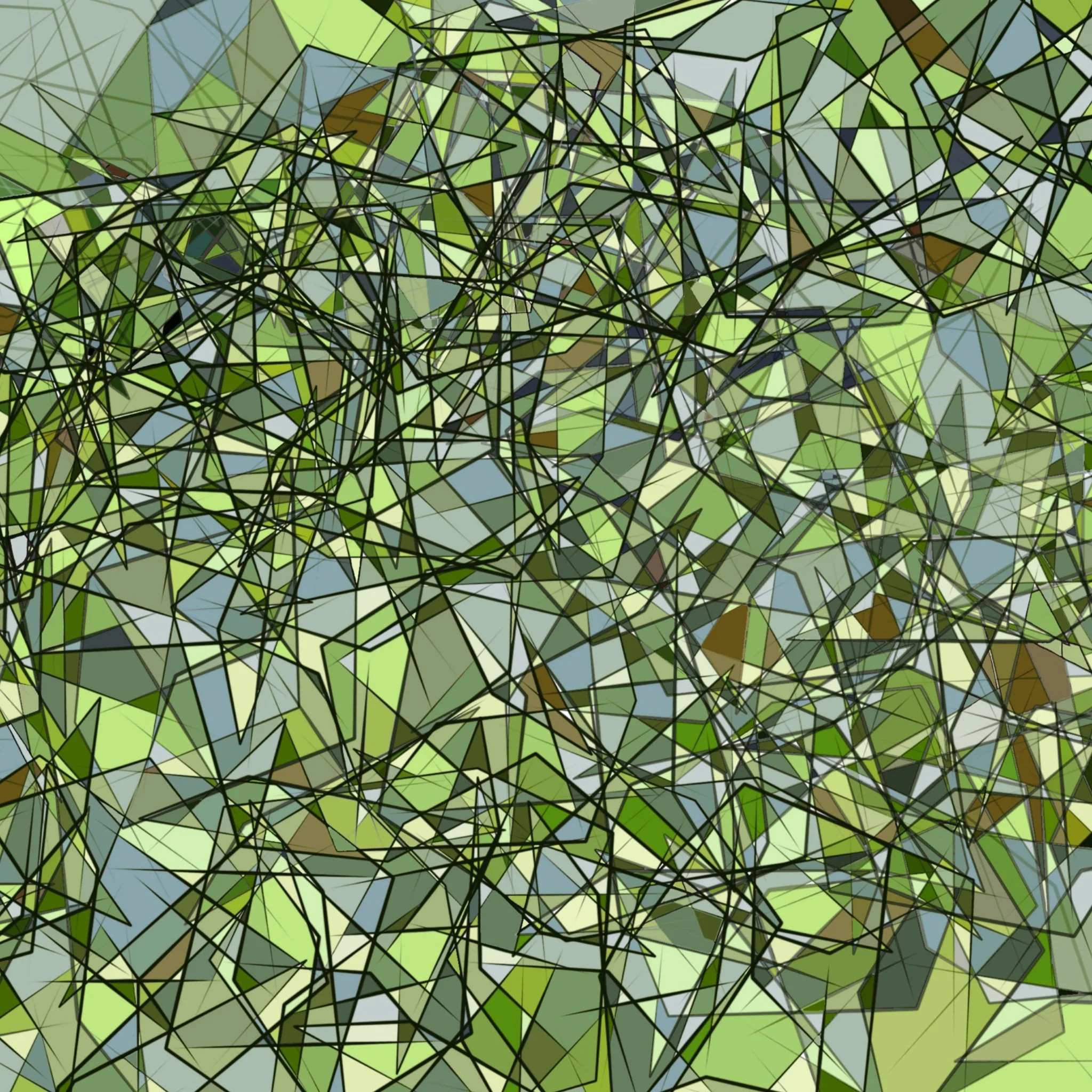 Finding the Forest Fine Art Print