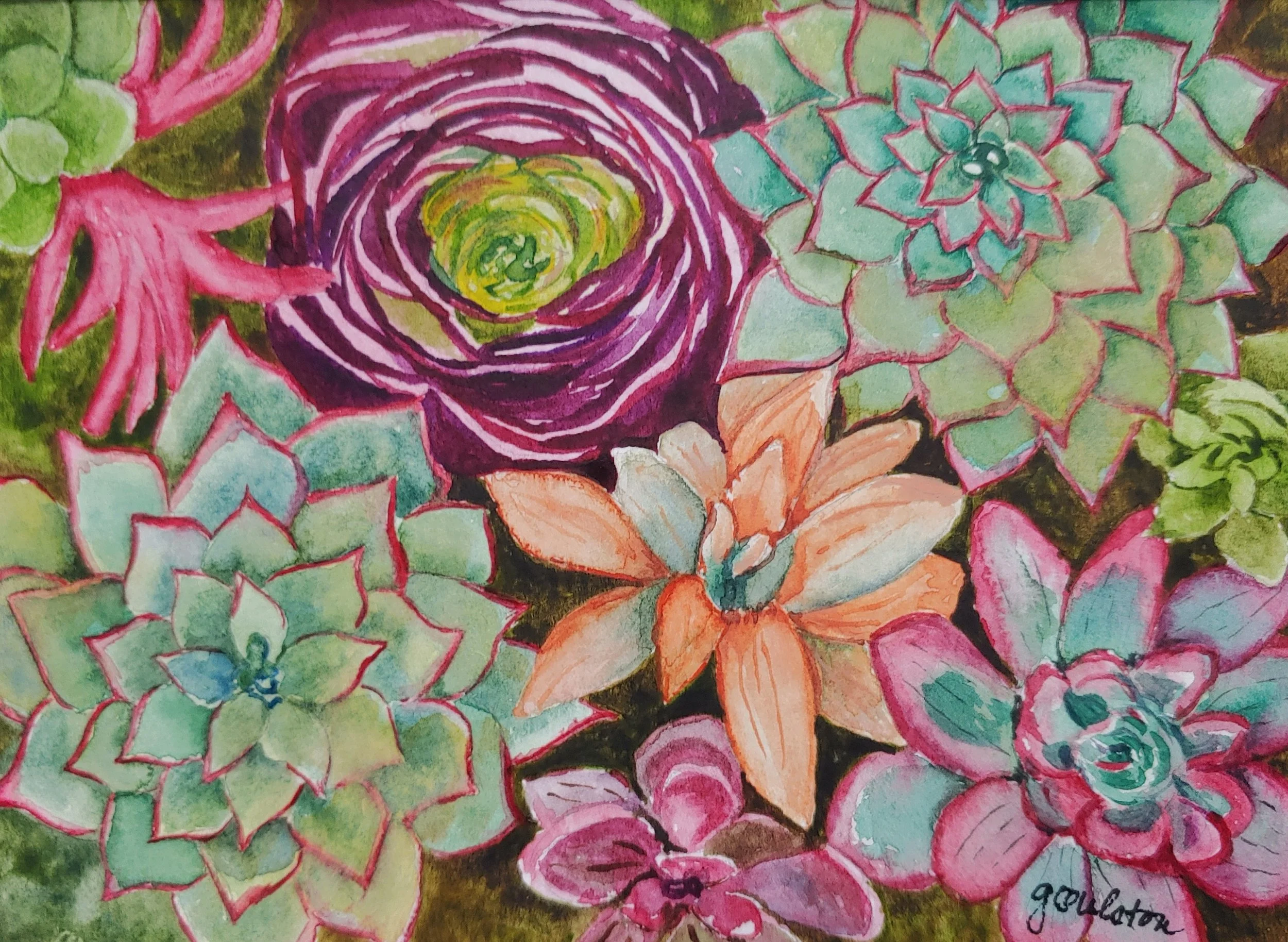 Summer Succulents - watercolor
