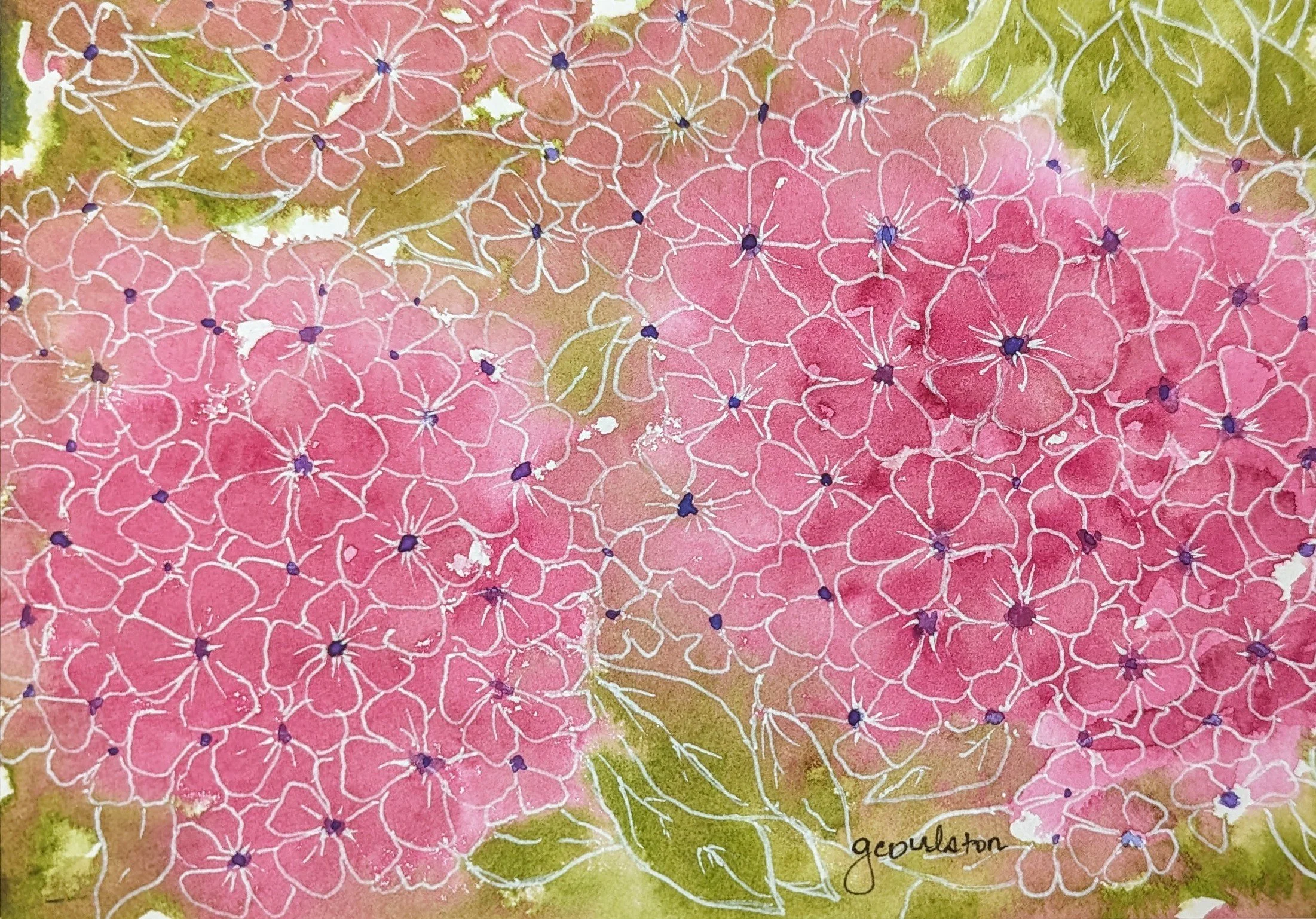 Bella's Flowers - Watercolor and ink