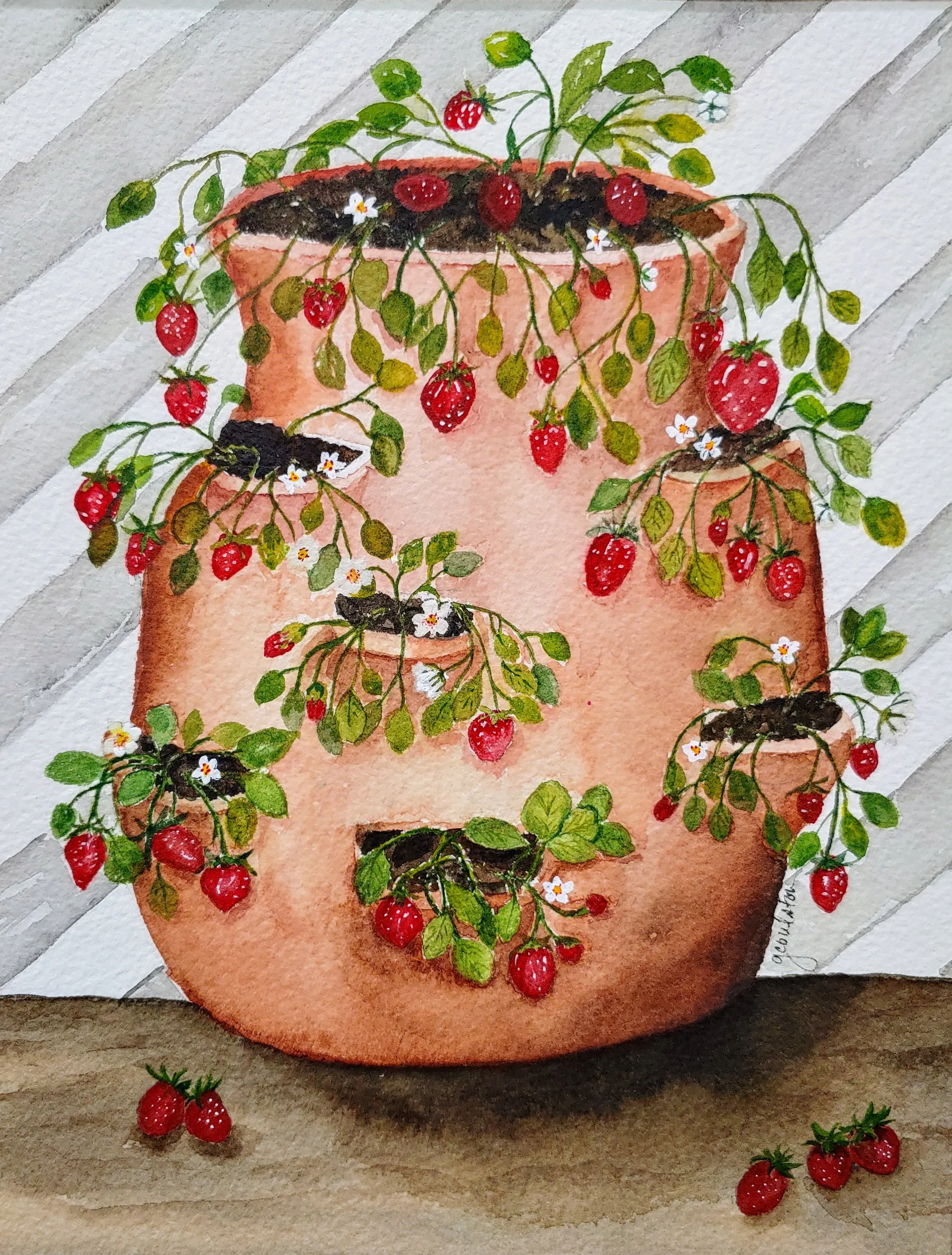Strawberry potted .jpg