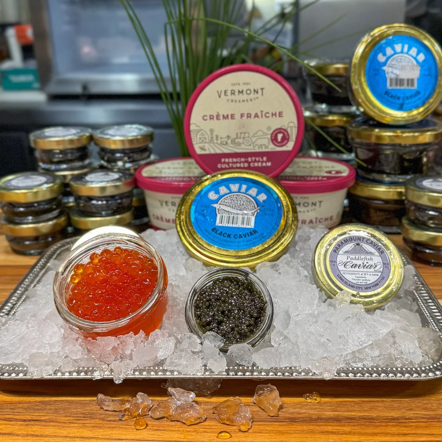 Dive into decadence at Old World Food Market!

Our gourmet caviar collection is ready to impress&mdash;from silky Black Caviar to vibrant Salmon Roe, and elegant Hackleback and Paddlefish Caviars from Paramount, all perfectly chilled and paired with 