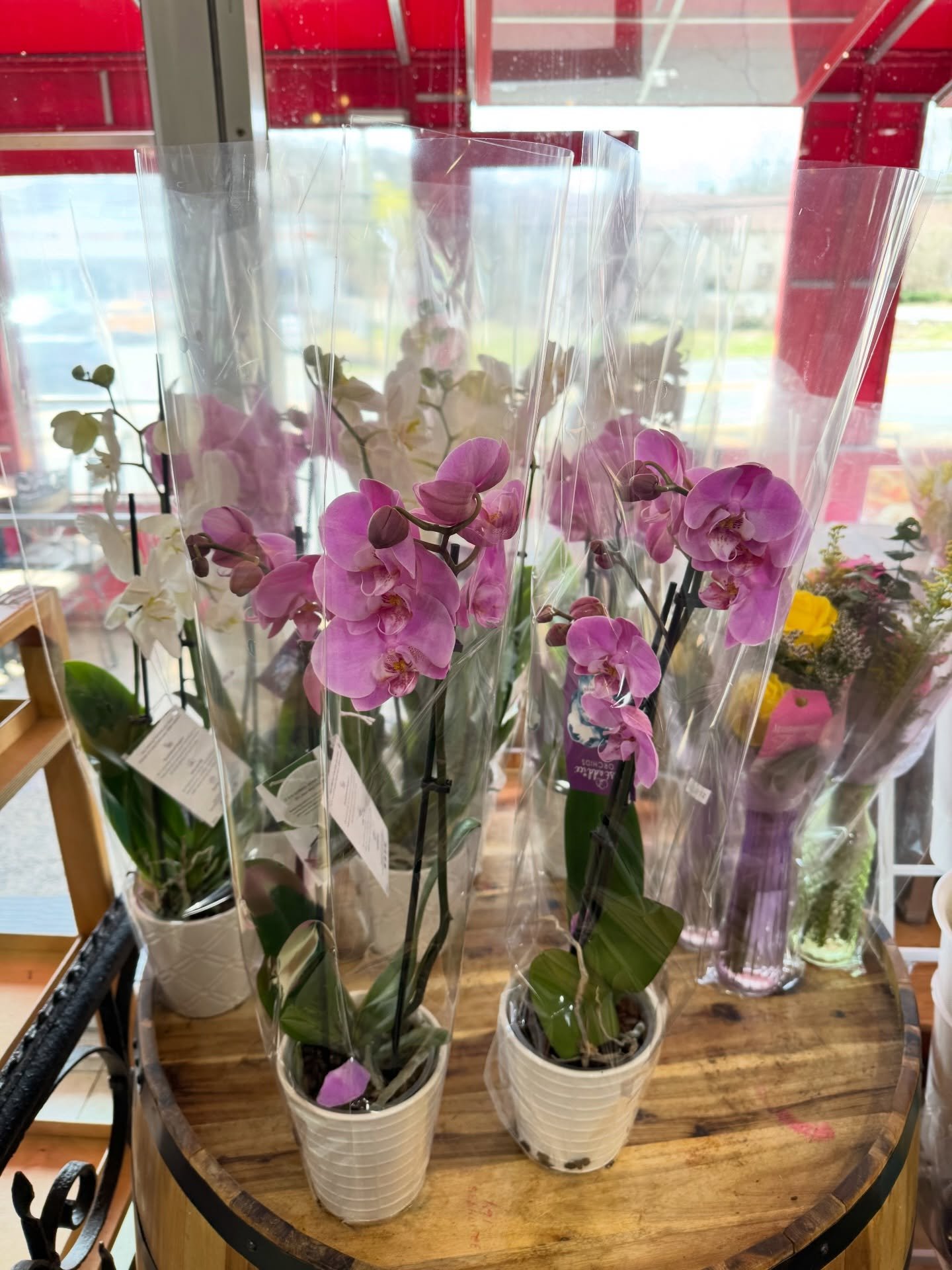 Flowers that actually stop you in your tracks.

From quick grab-and-go bouquets to orchids that last and everything in between, this is not your average flower section.

&bull; Fresh mixed bouquets ready to go
&bull; Bright spring colors that pop the