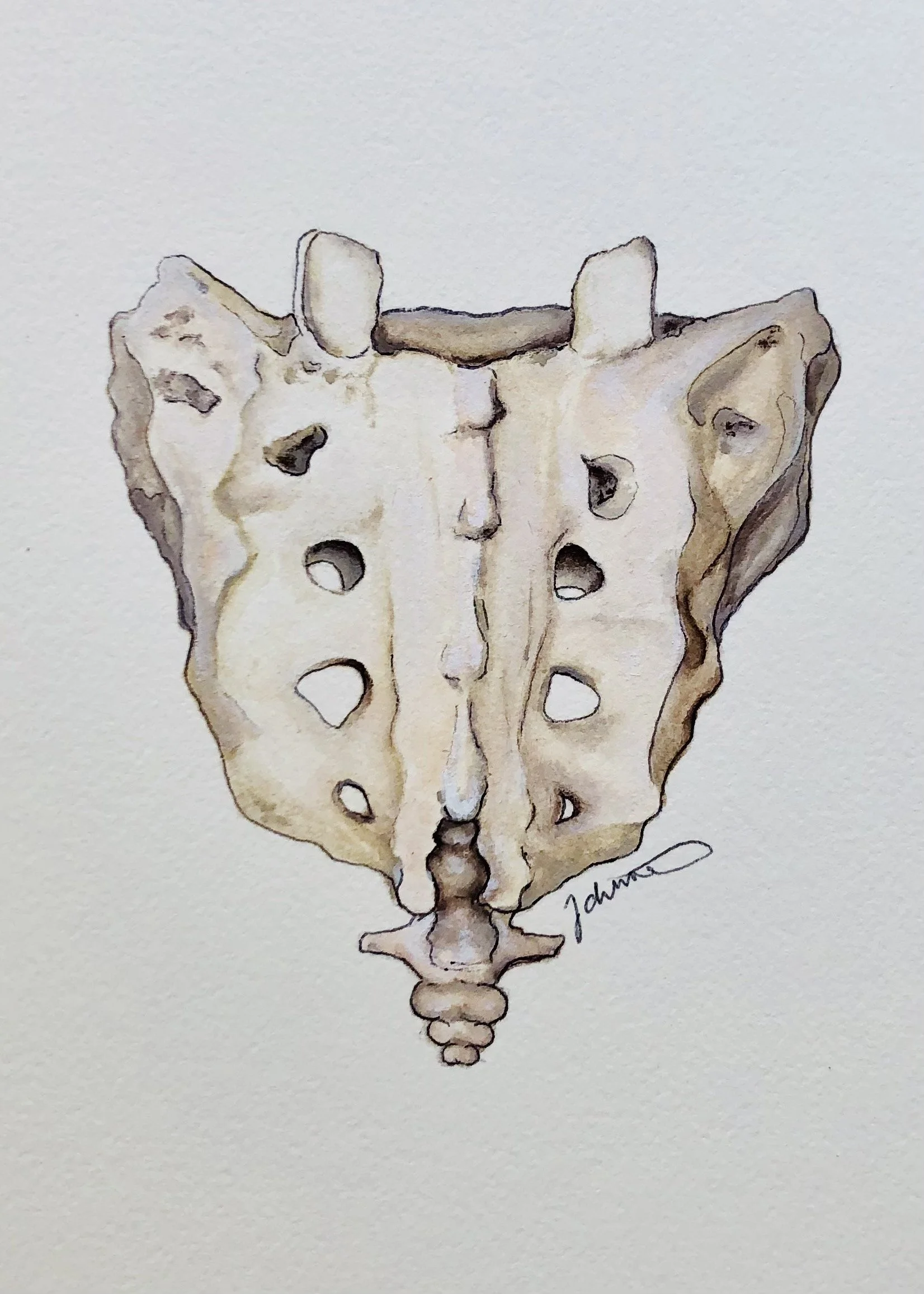 sacrum light 5x7.jpg