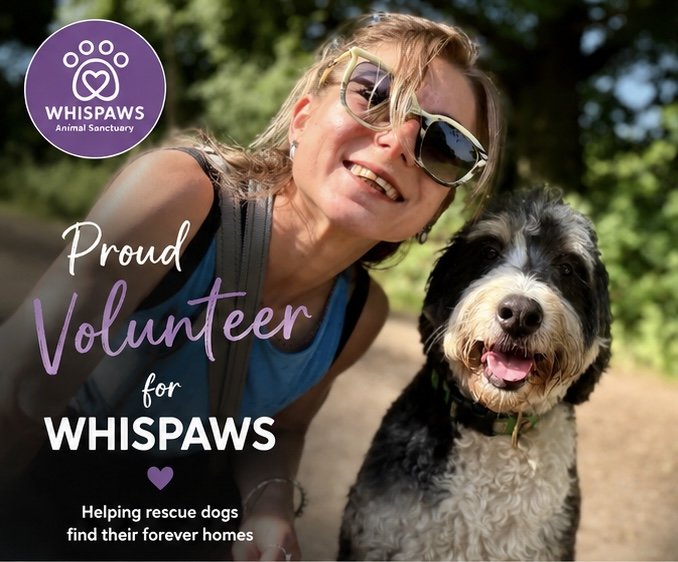 Dog rescue poster 1.jpg