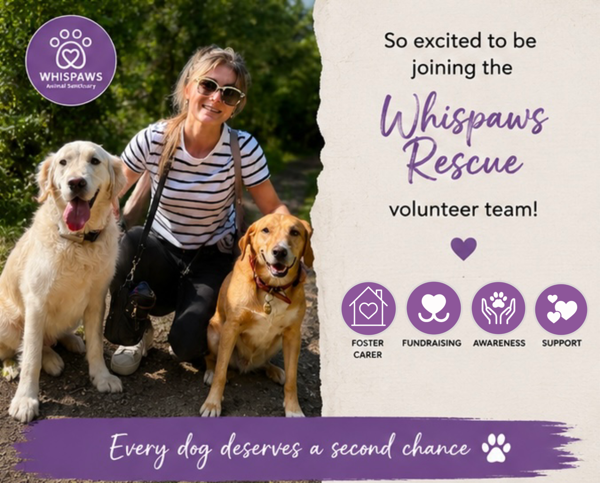 Dog rescue poster 2.png