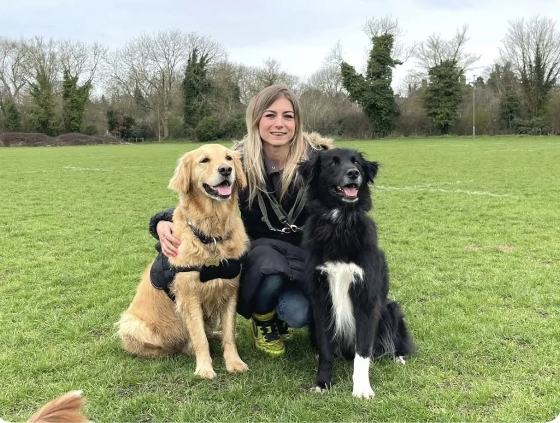 A woman kneeling on a grassy field with two dogs, a golden retriever on her left and a black and white border collie on her right, all smiling and looking at the camera.