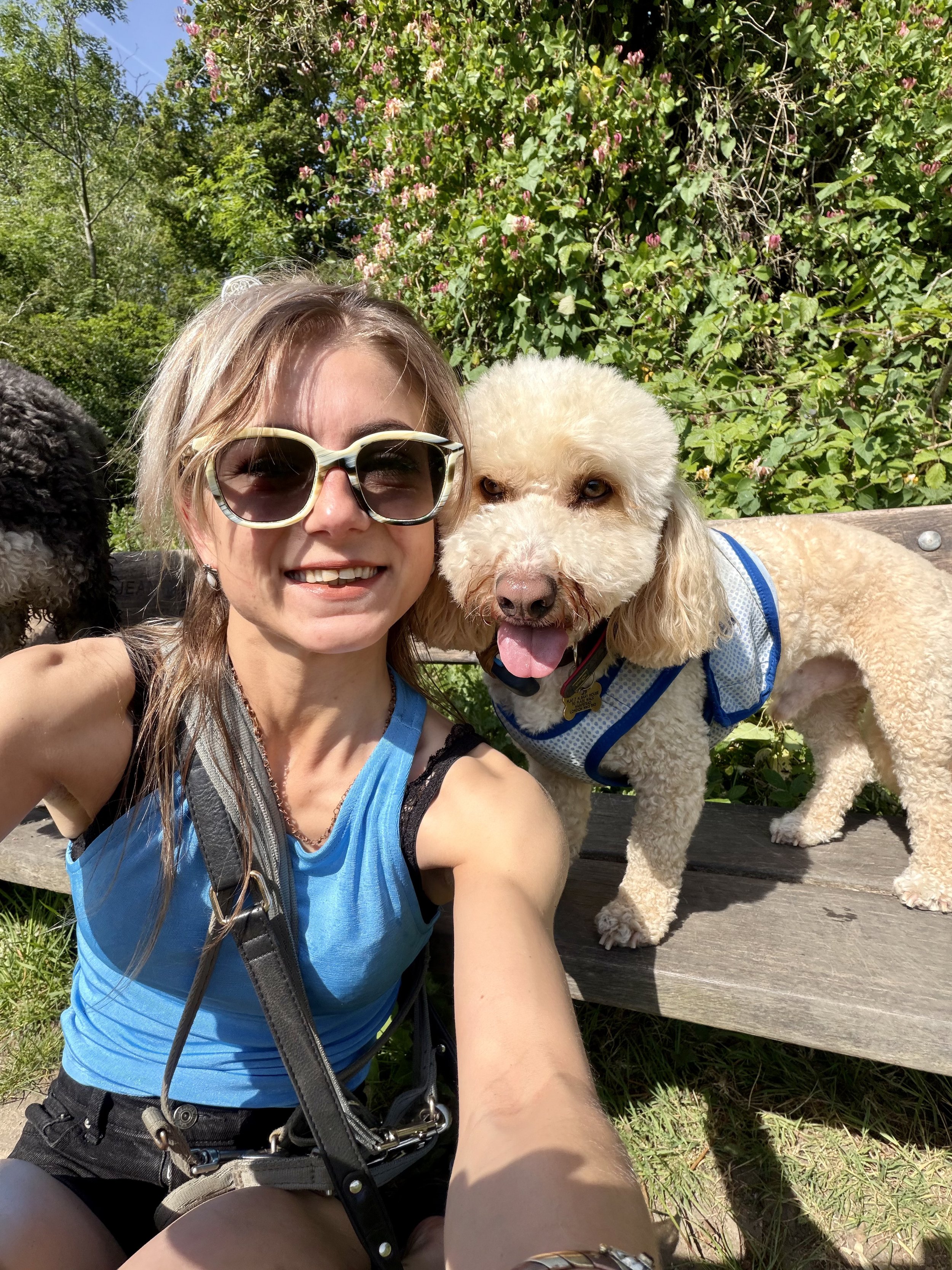 A woman wearing sunglasses and a blue sleeveless top is taking a selfie with two dogs on a park bench, one with curly cream-colored fur and the other with dark curly fur, surrounded by greenery and flowering bushes.