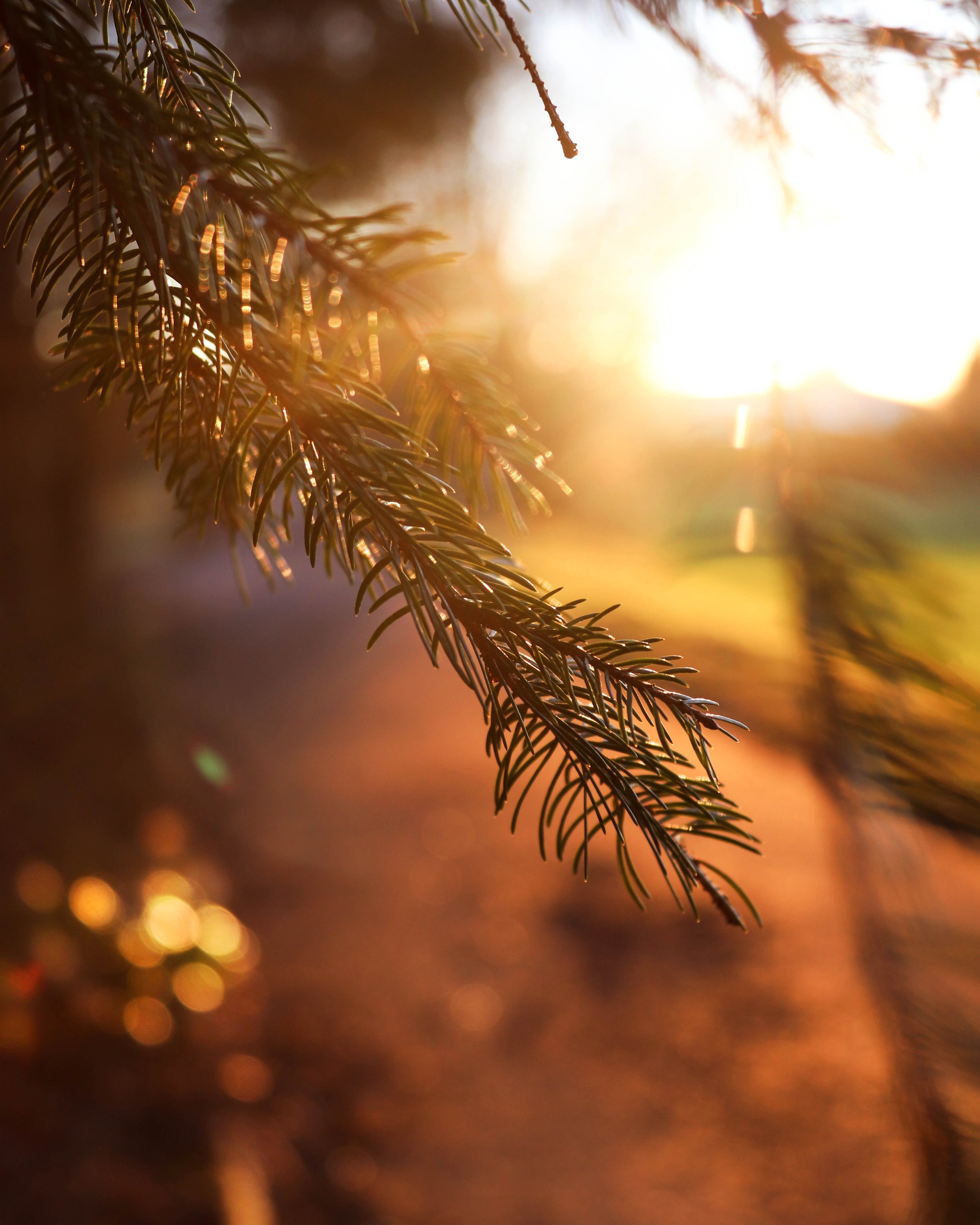 ALCHEMY OF ENDINGS - TUESDAY WORKSHOPS 6 OF 6