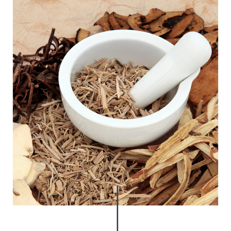 NOBLE INTEGRATIVE HEALTH