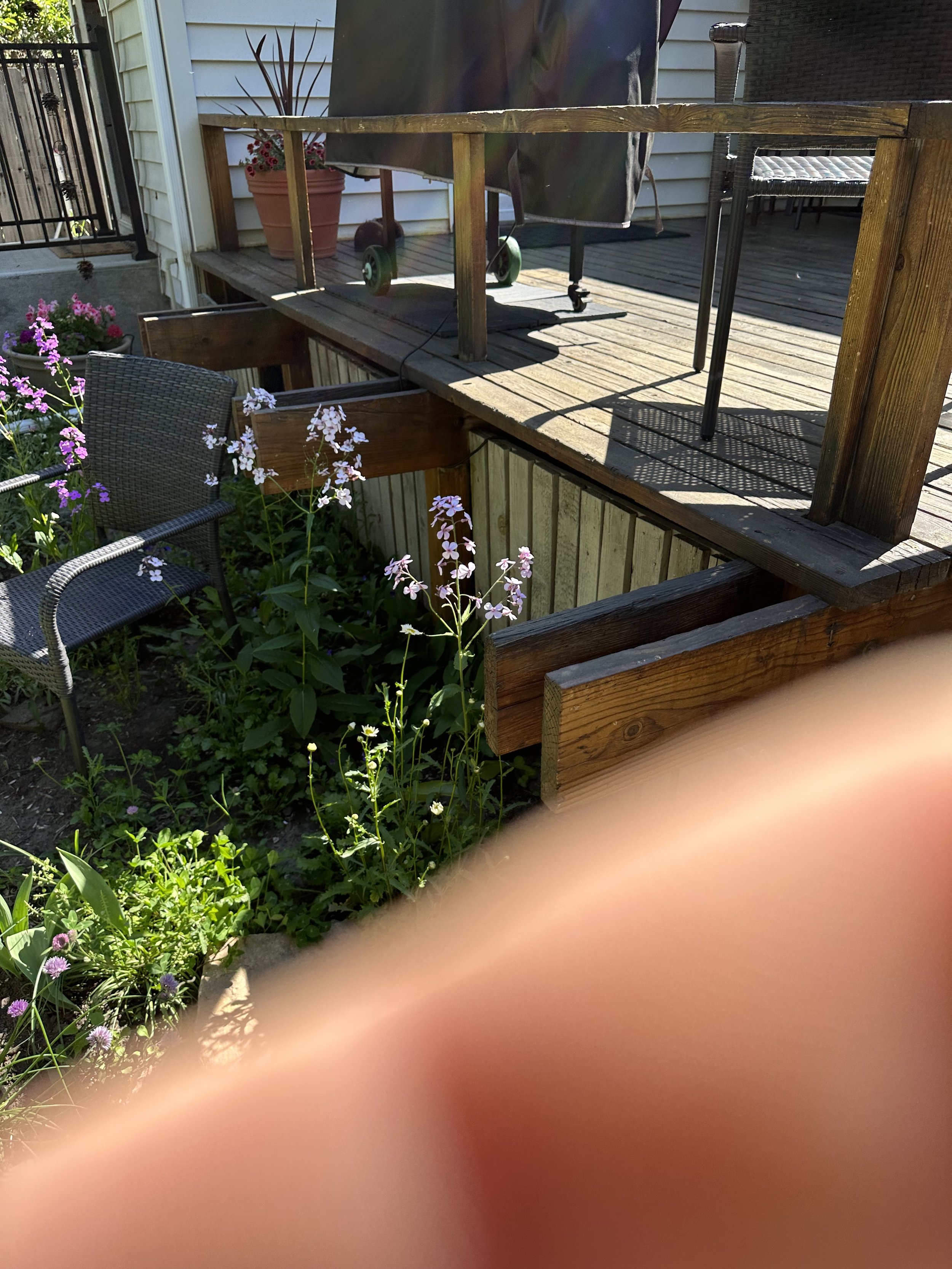 IMG_2472.jpeg