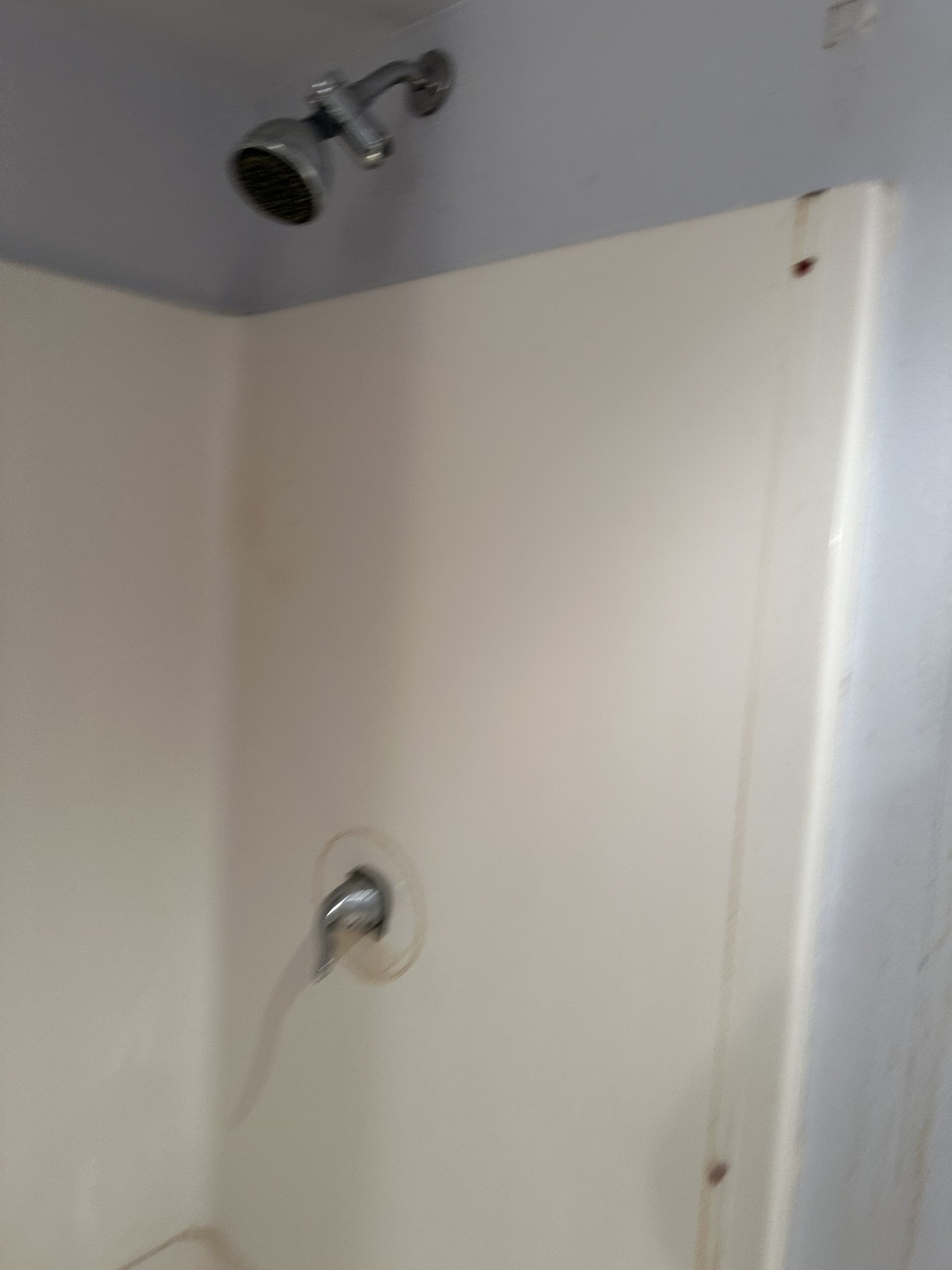 IMG_1102.jpeg
