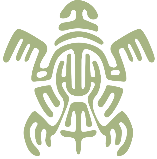 turtle.png