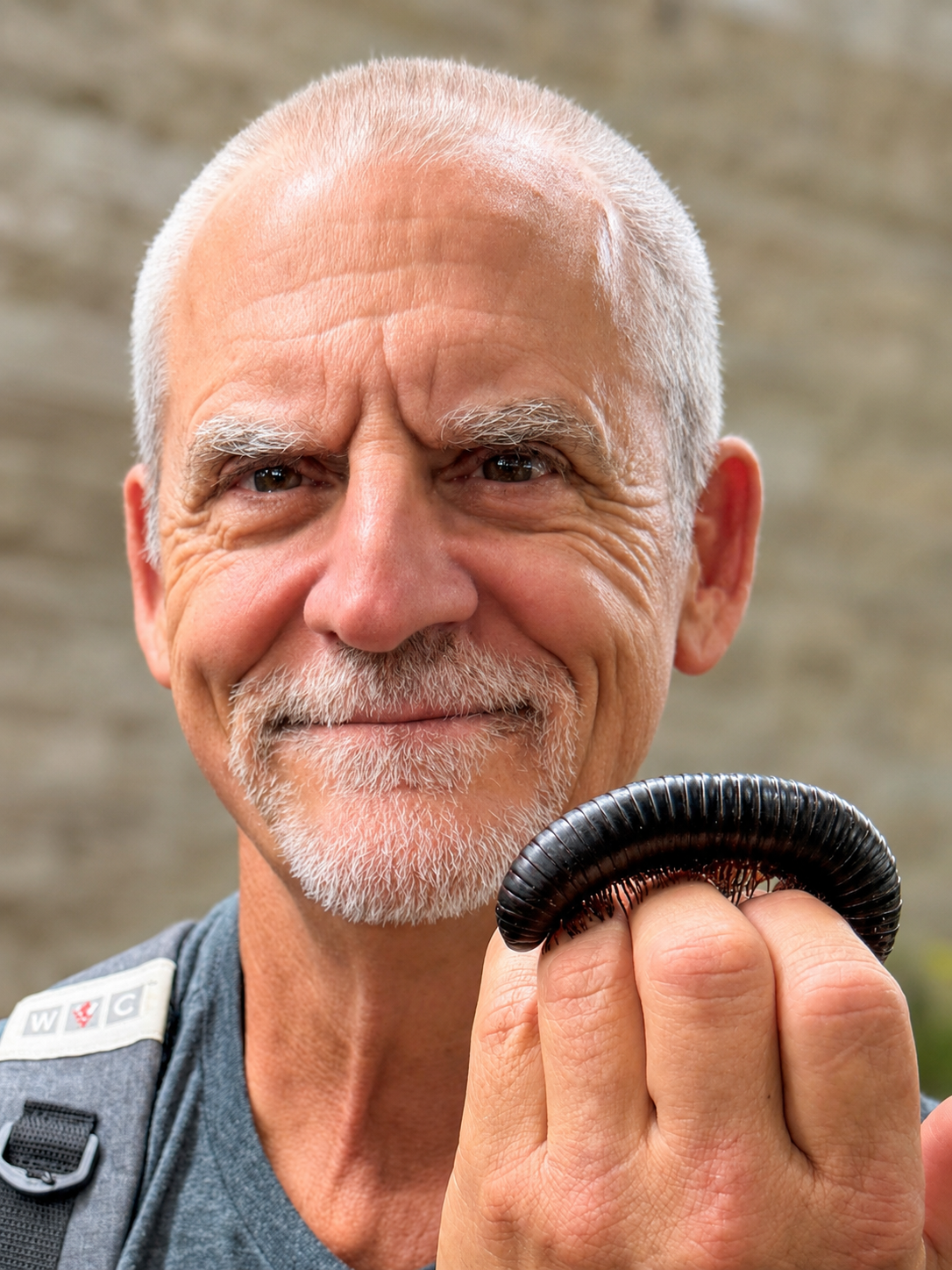 DOUG AND MILLIPEDE.png