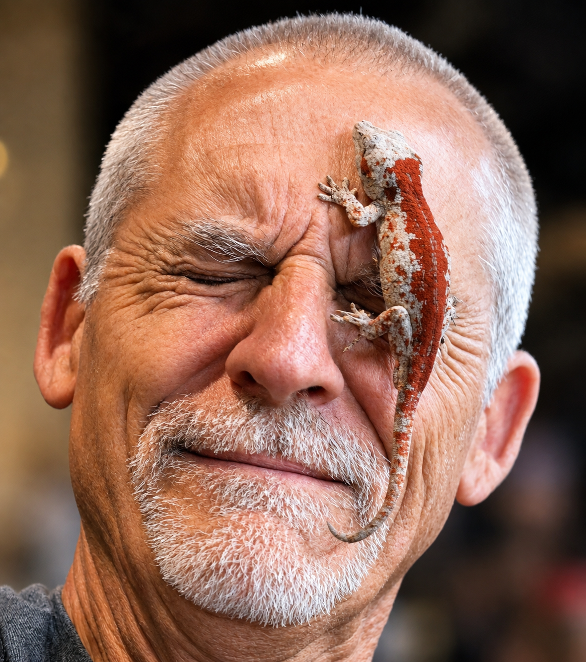 DOUG AND GARGOYLE GECKO.png