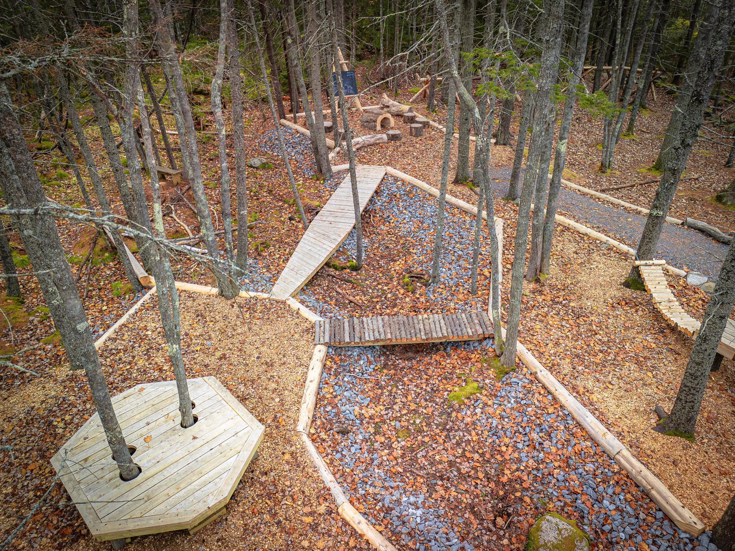 DJI_20241102130004_0905_D-Enhanced-NR.jpg