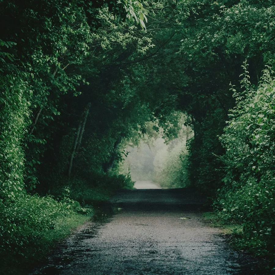 Clinical Neural Immersion