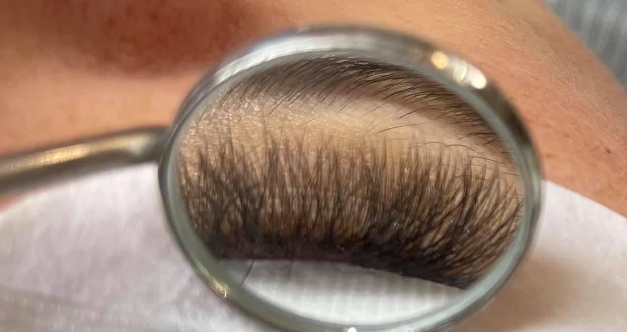 Light Volume