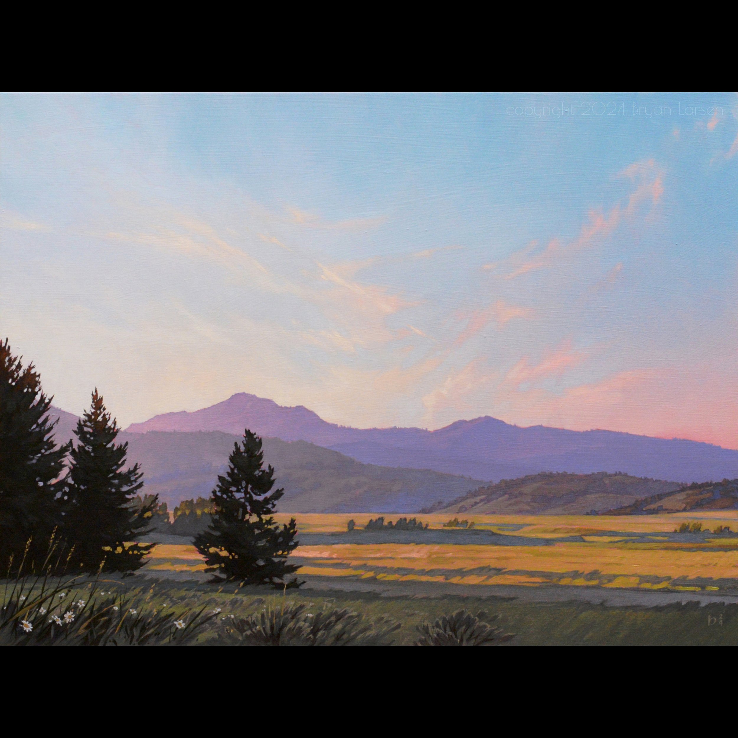 'Evening Light' 16x12 inches - oil on panel - Around $2,700.00