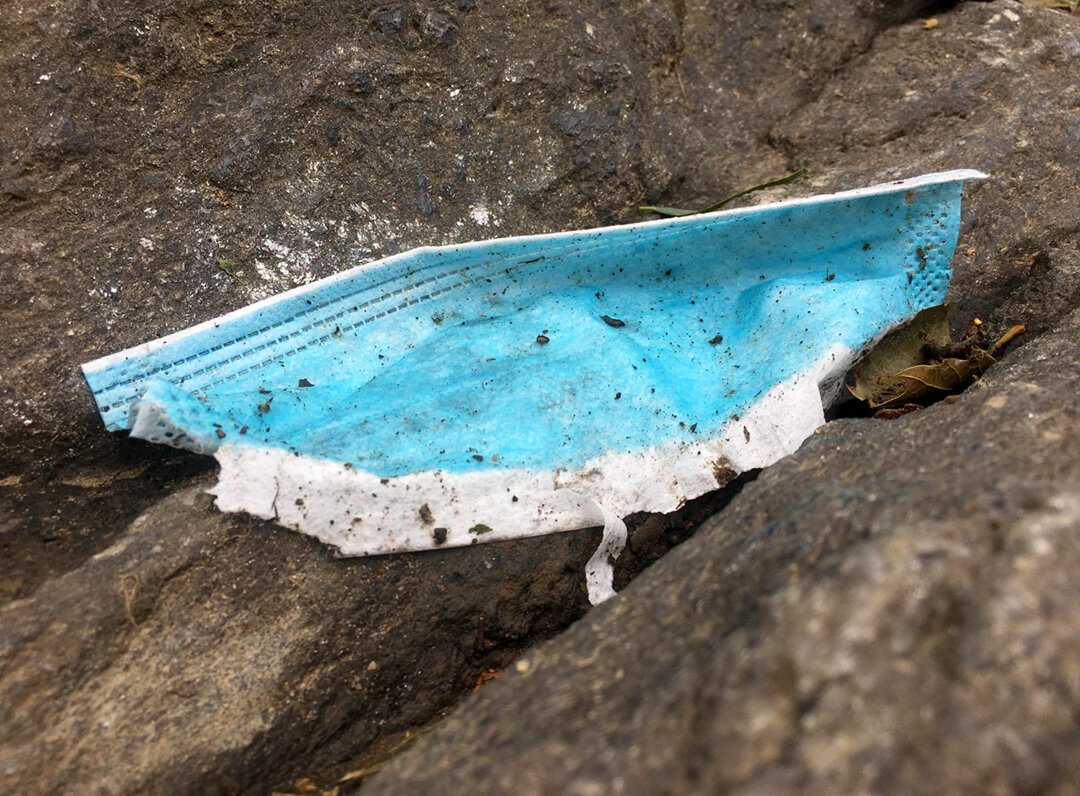 SMALLRocky.jpg