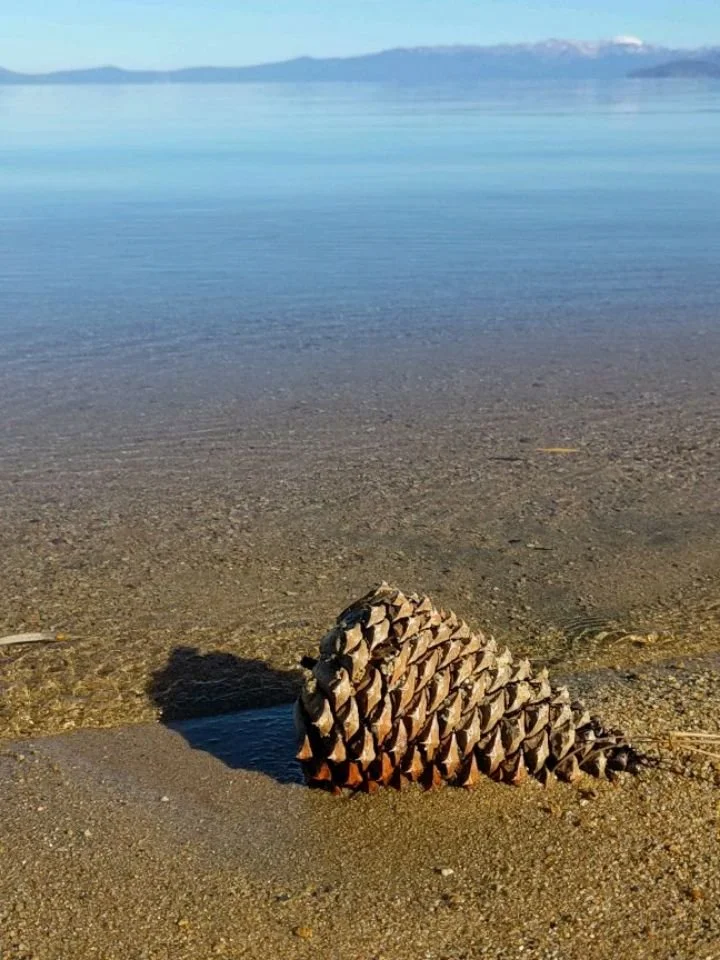 The beauty of this place is ridiculous... let me bring you along my Saturday morning solo walk, 10 am 50* clear sky, warm sun, and silence. You hear the sounds of your own footsteps on the earth and the quiet lapping of the water on the shores. No ot