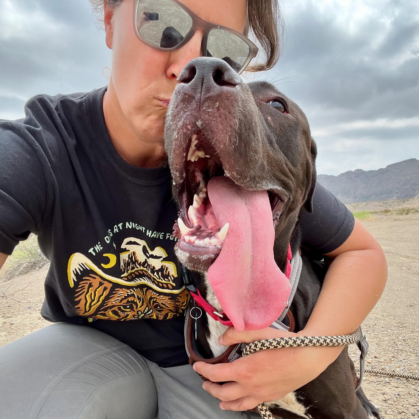 Biscuit and his outsized, made-for-kissin&rsquo; tongue is still looking for a new foster home- or forever family! He&rsquo;s a big doofus who&rsquo;s also dog friendly, good on leash, kennel trained and ok being left alone (it&rsquo;s a myth that yo