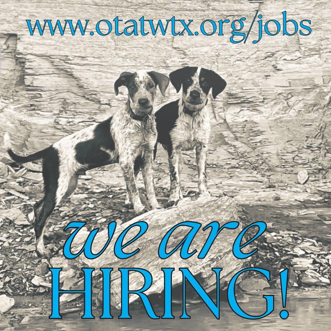 Perhaps Friday afternoon isn&rsquo;t the perfect time to post a work announcement but then again, maybe the work week has you thinking about a new gig? Regardless-the moment is here and we are super excited: WE ARE HIRING!! Rescue has its tough momen