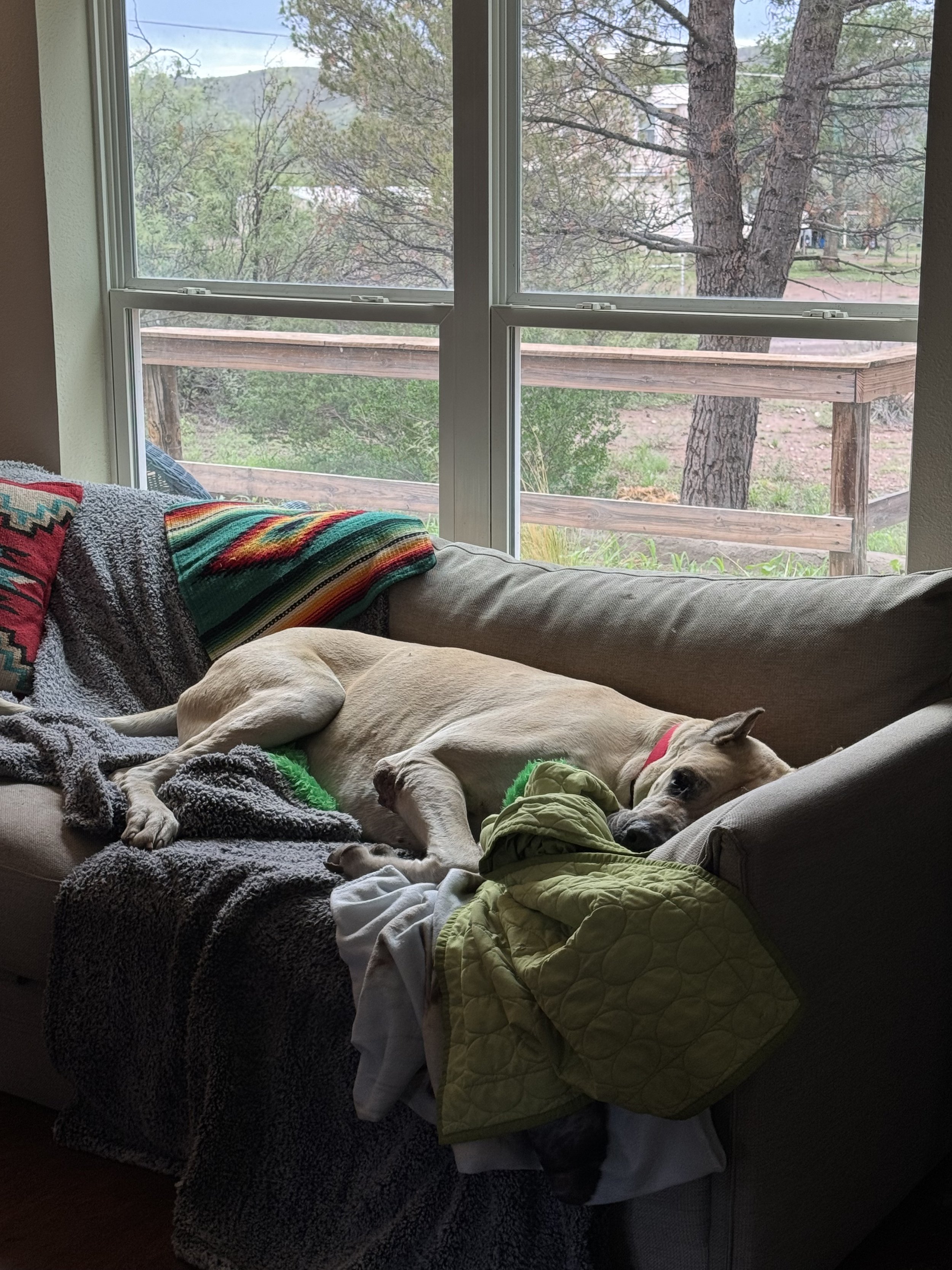 IMG_4108.jpeg